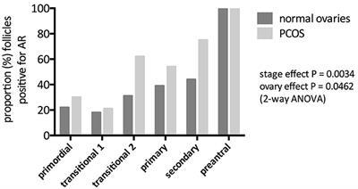 Androgen Action in the Ovary